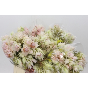 Blushing Bride 4/6 Flowers