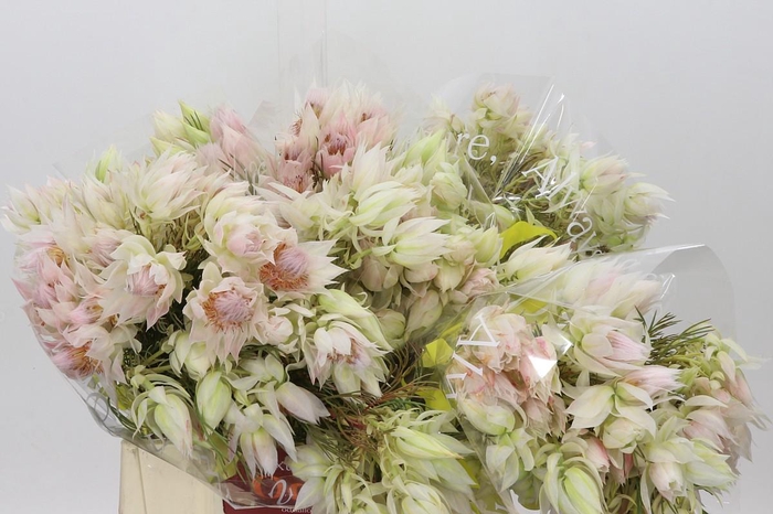 <h4>Blushing Bride 4/6 Flowers</h4>