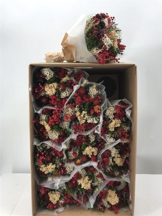 <h4>Dr Bqt Dried Fantasy Red</h4>