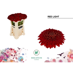 GE MB POM RED LIGHT