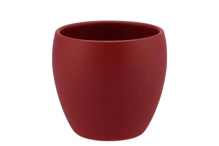 Vinci Red Velvet Flower Pot 14x13cm Nm