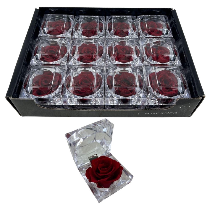 <h4>R Diamond Rosa Red</h4>