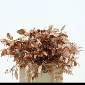 EUC PO FRU KLB BS H%