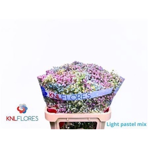 Gyps Klb H% Light Pastel Mix