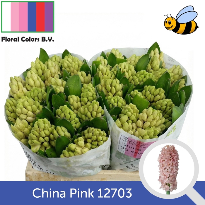 <h4>HYAC CHINA PINK</h4>