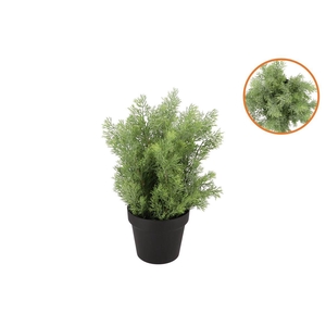 Silk Cypress Green In Pot M 23x23x30cm