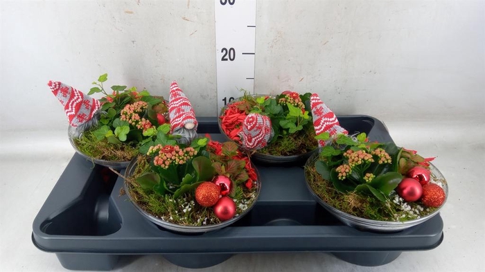 <h4>Arr. Kerst L%</h4>