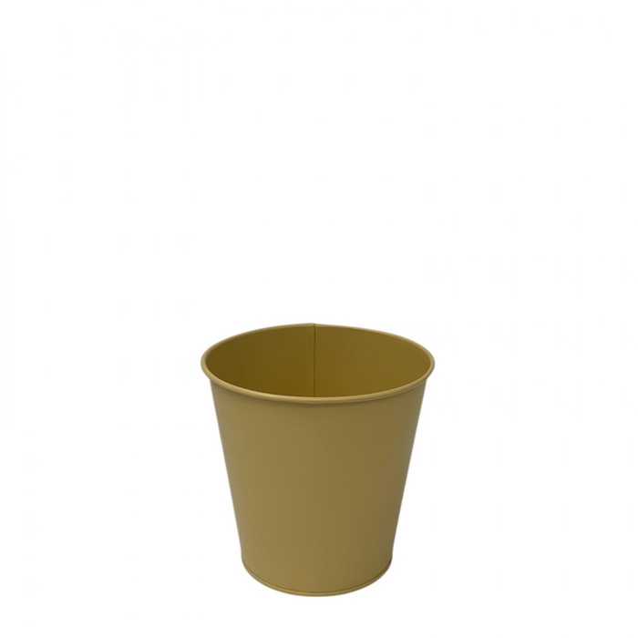<h4>Milo pot d12*12cm</h4>