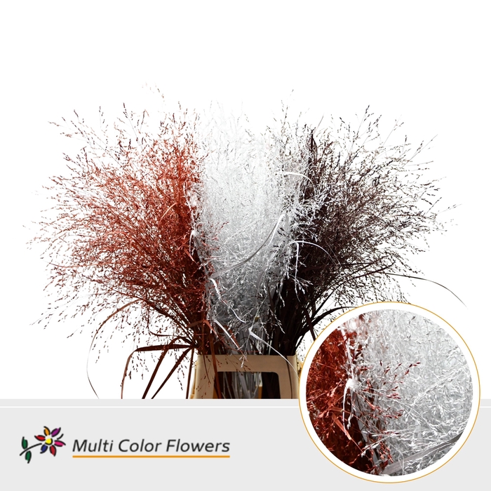 <h4>Panicum Kerst Mix</h4>