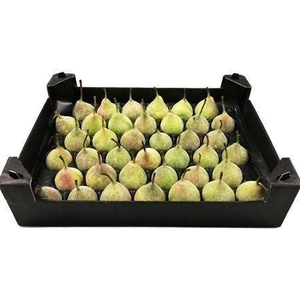WAX PEER H%