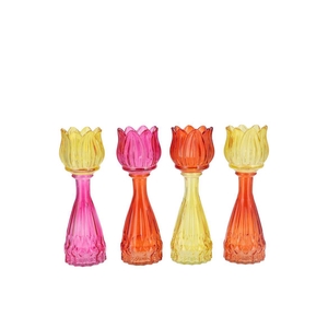 Bicolore Dutch Orange Mix Tulip Vase Ass 7x18cm