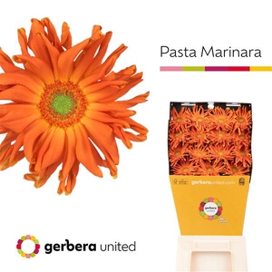 Ge Gr Pasta Marinara Diamond United