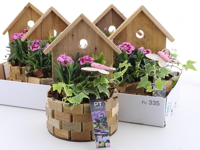 <h4>ARR PL IN SCHAAL</h4>