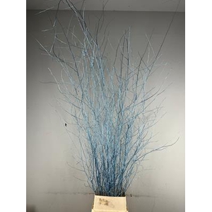 Betula Met Blad Metal. L.blue