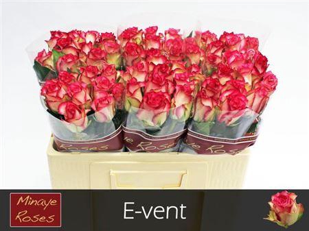 <h4>R Gr E-vent</h4>