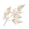 Fern Branch Champagne