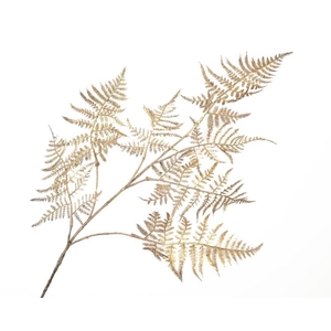 Fern Branch Champagne