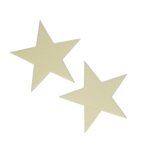 Oasis Color Star 25cm