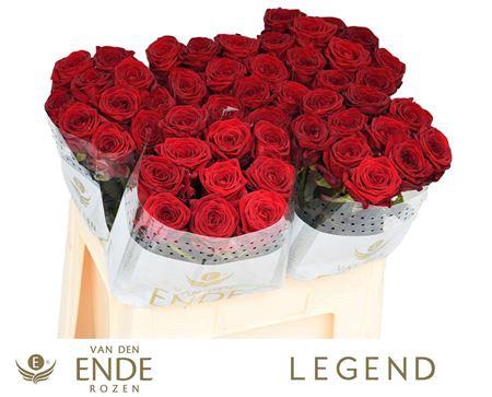 <h4>R Gr Red Naomi!</h4>