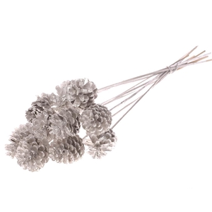 Pine C 5-7 O/s Silver