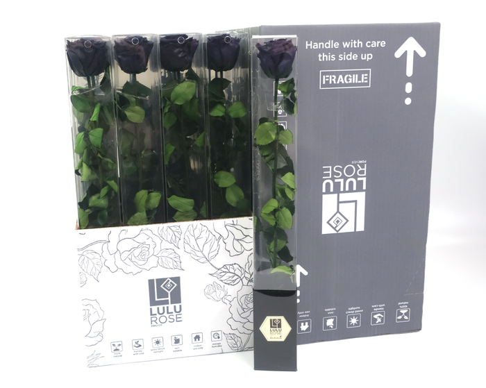 Rosa Preserved Stem 50cm Luxurious Black