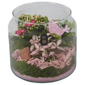PTIG2623 Arrangement Indoor in glazen vaas