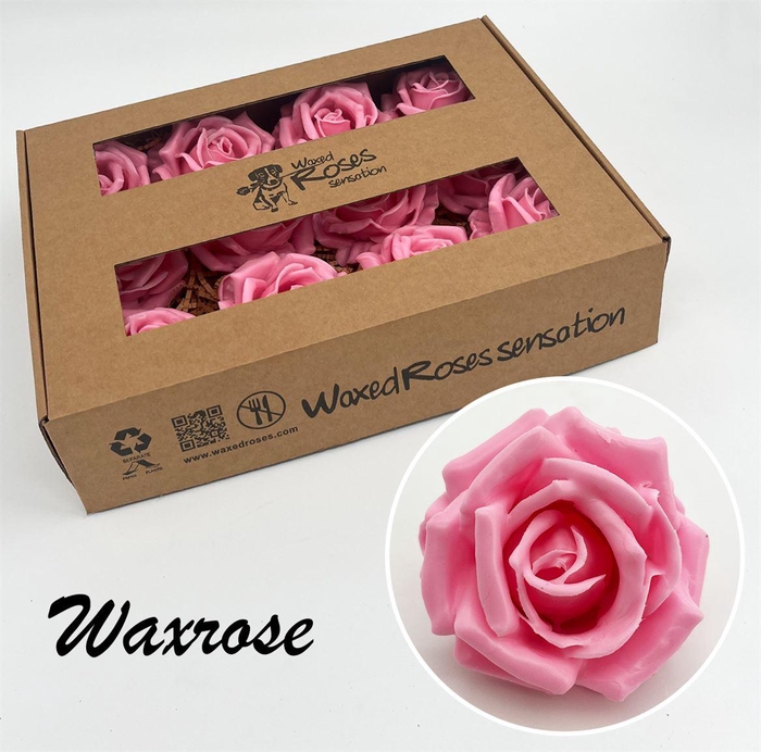 <h4>Zijde R Wx Roze</h4>