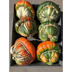 Cuc Turks Turban Mix
