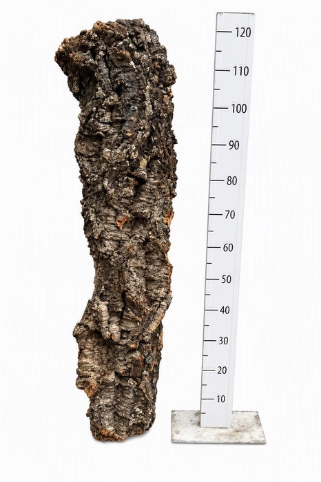 <h4>Cork One Piece ±5kg 120cm</h4>