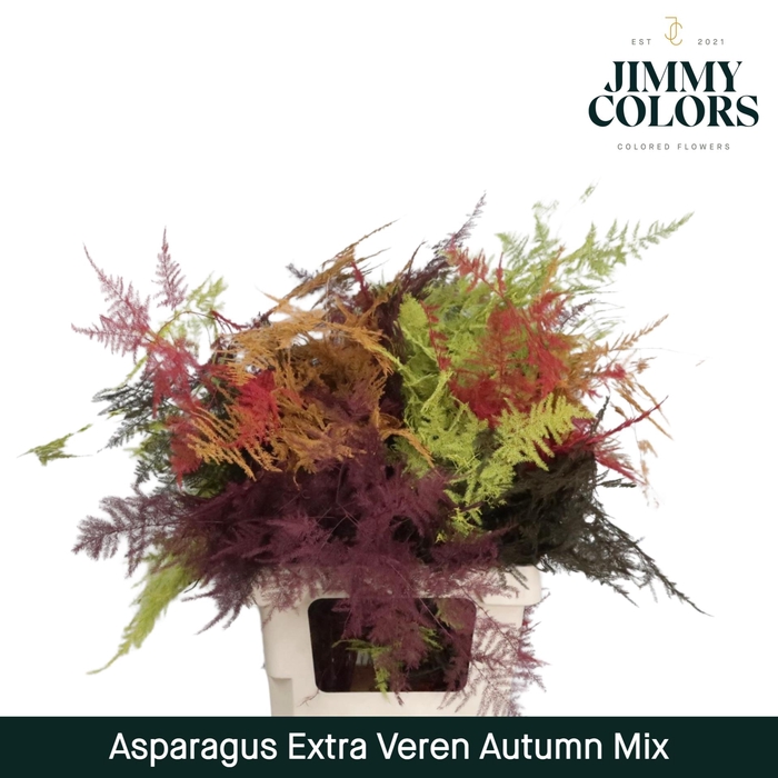 <h4>Aspa extra veren Autumn mix</h4>