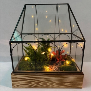 arr3 WR - Terrarium Wardian case one