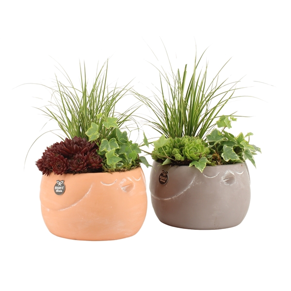 <h4>31614: Outdoor summer arrangement</h4>