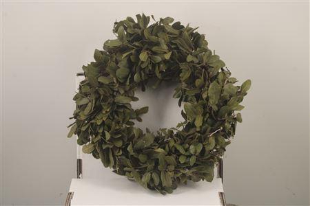<h4>Wreath Steeneik Naturel 30cm</h4>