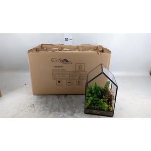 Arr. Kamerplant Groen L%