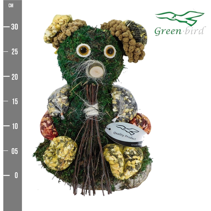 <h4>VOGELZ FIGUUR H%</h4>