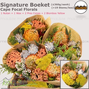 PROTEA PER BOS