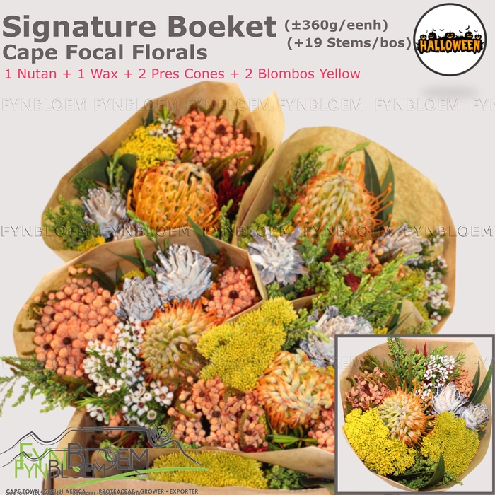 <h4>PROTEA PER BOS</h4>