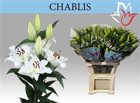 <h4>Li Ot Chablis</h4>