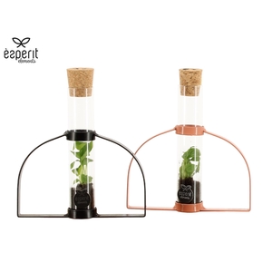 90986: Terrarium arrangement