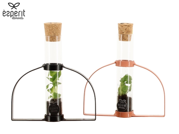 <h4>90986: Terrarium arrangement</h4>