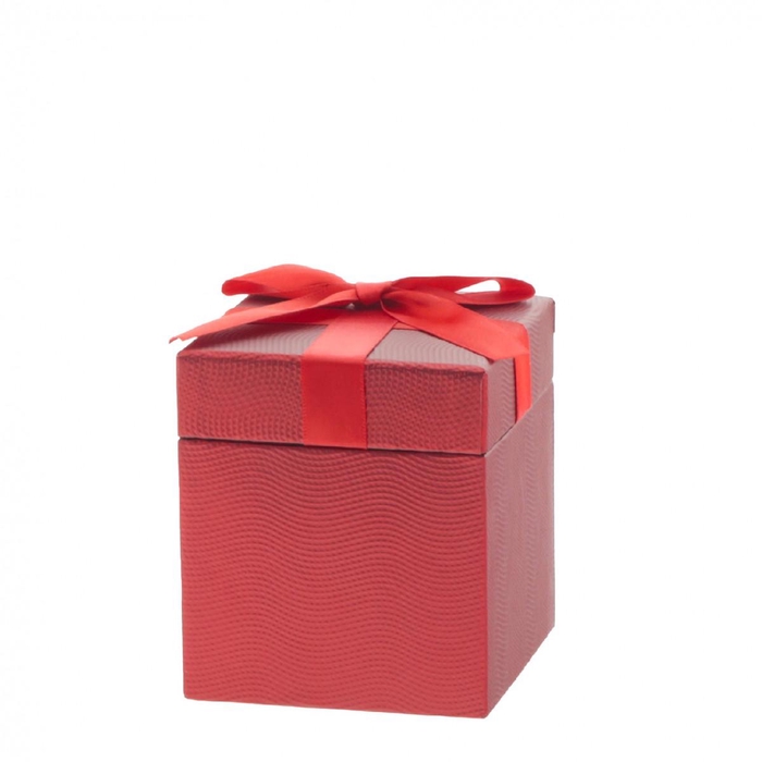 <h4>Valentijn Gift box Gina 9.3*10cm</h4>