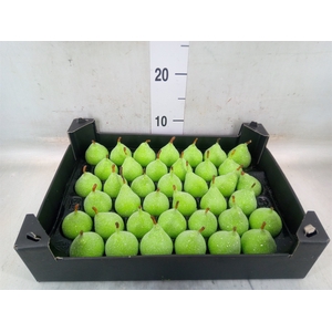 Decoratieve materialen   ...H%