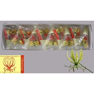 GLORIOSA LUTEA