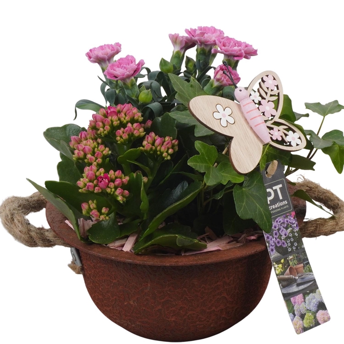 <h4>PTPP6841 Arrangement Patio in metalen schaal</h4>
