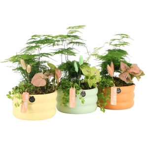 11526: Soft sculpture arrangement