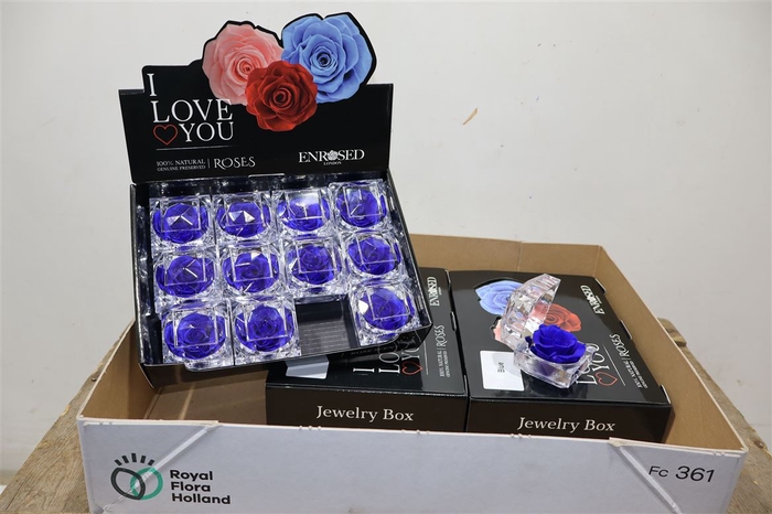 <h4>Preserved Roses In Box Blue</h4>