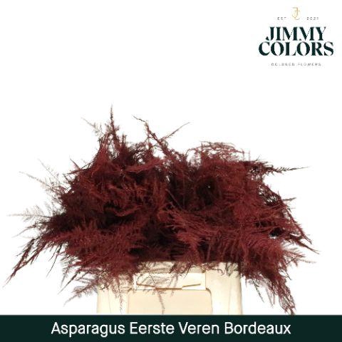 <h4>Aspa 1ste veren Bordeaux</h4>