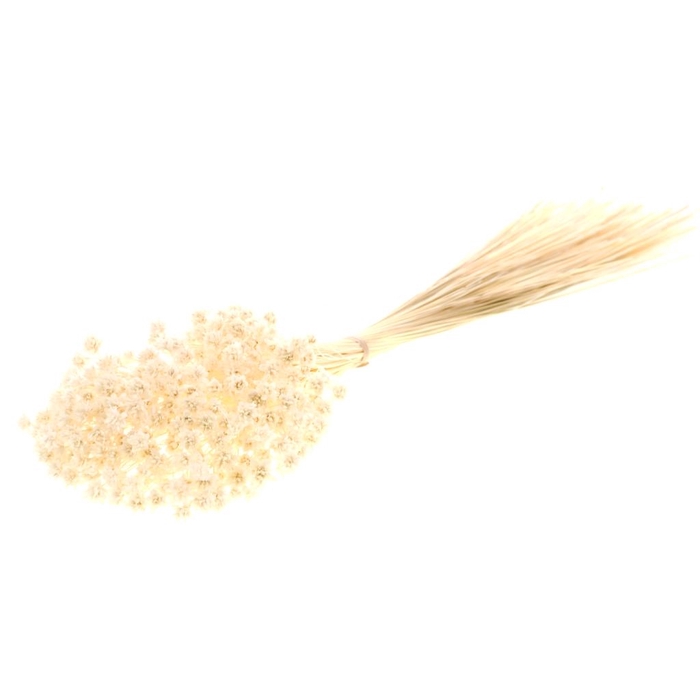 <h4>Hill flower 100gr bleached white</h4>