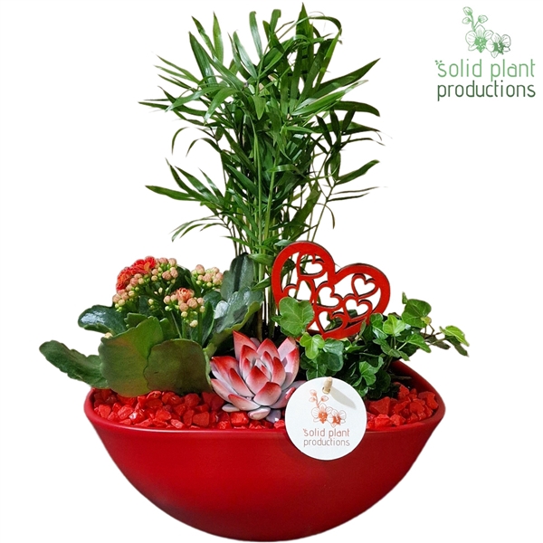 <h4>CE005 Eyleen Red VM</h4>