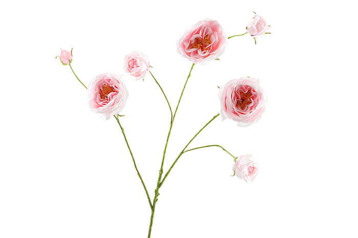 Rosa Branch Pink